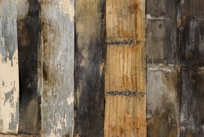 Rusted corrugated tin panels forming a fence.