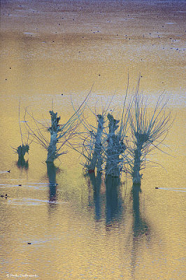 Lago di Campotosto