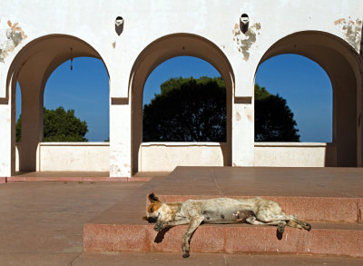 Oran - Santa Cruz