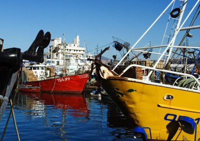 Oran - Le port