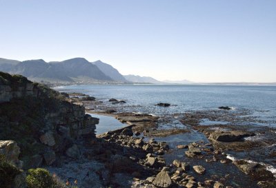 Hermanus