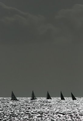 Five Sails on the Horizon