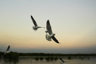 DSC_0761-05.jpg
