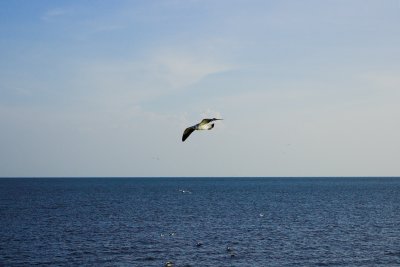 DSC_0714-01.jpg
