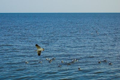 DSC_0718-02.jpg