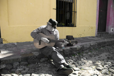 Grey musician