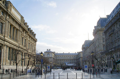 Plduparvis