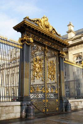 Plduparvis