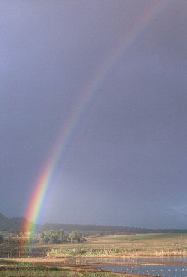 Rainbow.JPG