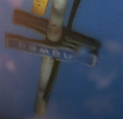 Show me the way.jpg