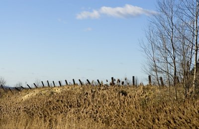 Mirabel fence