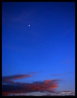 Lonely moon in blue-red sky