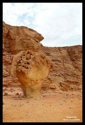 The Mushroom Rock in the desert !