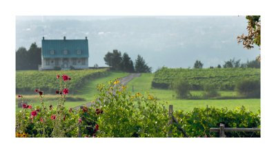 LA petite fleur  (Bonifay)