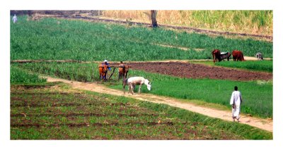 Agriculture... like 2000 years ago ..  exactly !