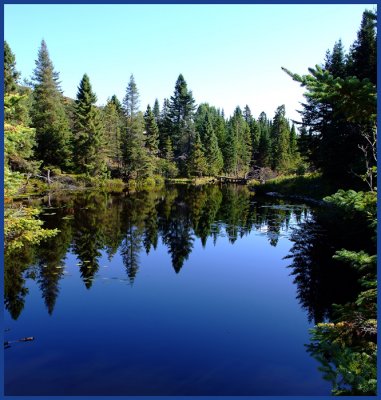 The Blue Calm Path of the Nature