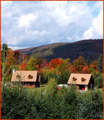 Ma cabane au Canada