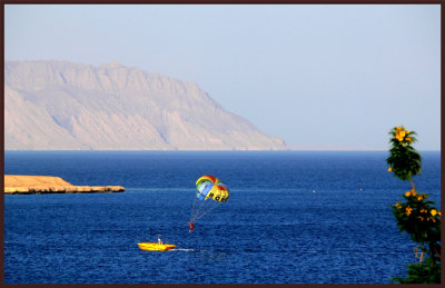 Sharm El Sheik     vacations !