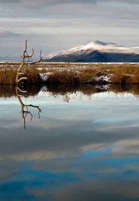 Bear River MBR