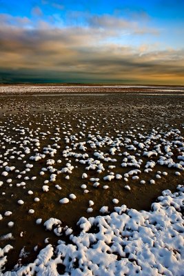 Bear River MBR