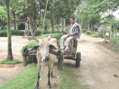 Sumatra Cart and Driver