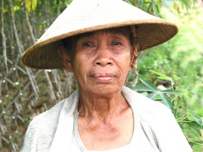 Sumatran Taro farmer