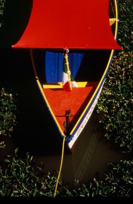 Esperanza Boat, Chapala