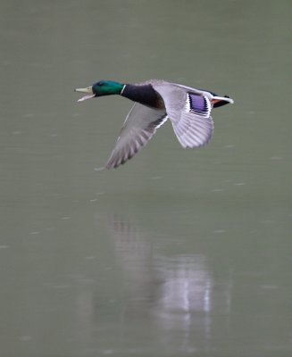 _MG_4072.JPG