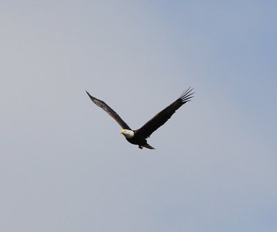 _MG_4570.JPG