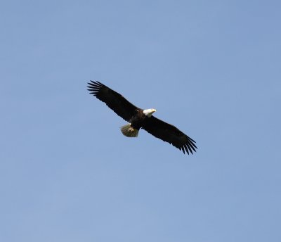 _MG_4579.JPG
