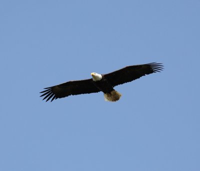 _MG_4584.JPG