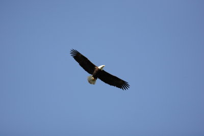 _MG_4588.JPG