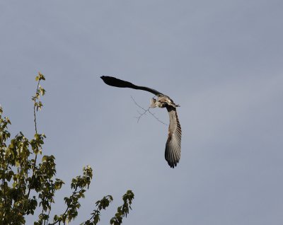 _MG_5968.JPG