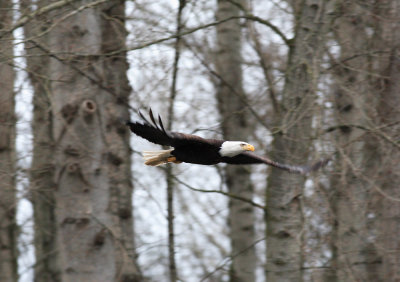 _MG_9322.JPG