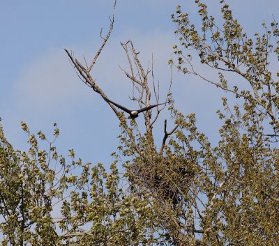 _MG_4568.JPG