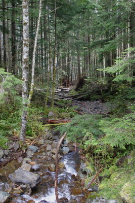 _MG_7512.JPG