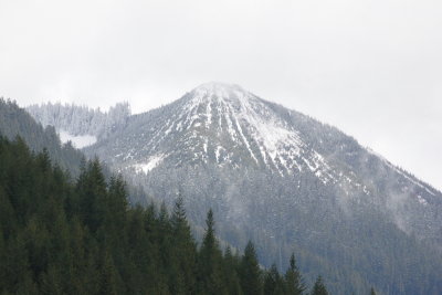 _MG_7329.JPG
