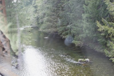 Raw_211.JPG