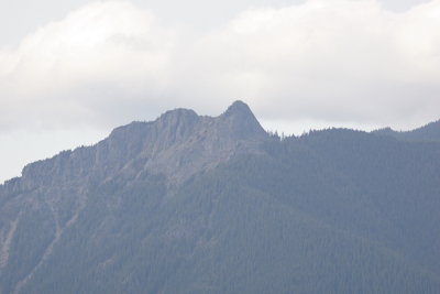 _MG_7346.JPG