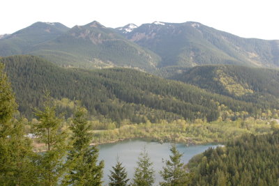 _MG_7727.JPG