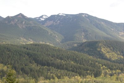 _MG_7728.JPG