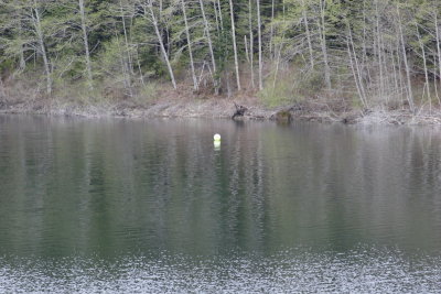 _MG_7575.JPG
