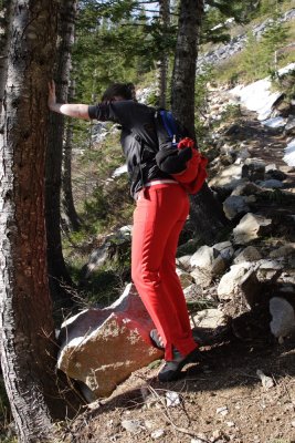 _MG_7813.JPG