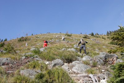 _MG_7833.JPG