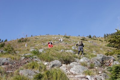_MG_7834.JPG