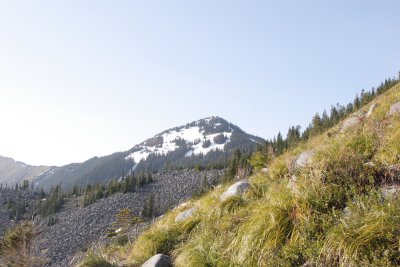 _MG_7837.JPG
