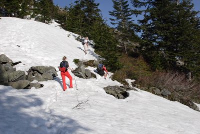 _MG_7879.JPG