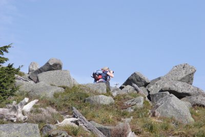 _MG_7895.JPG