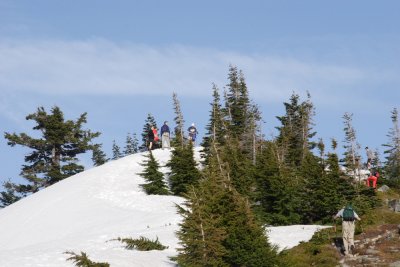 _MG_7904.JPG