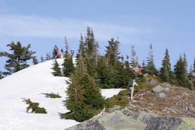 _MG_7905.JPG